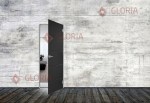 Стеклянная дверь   модель Delta
